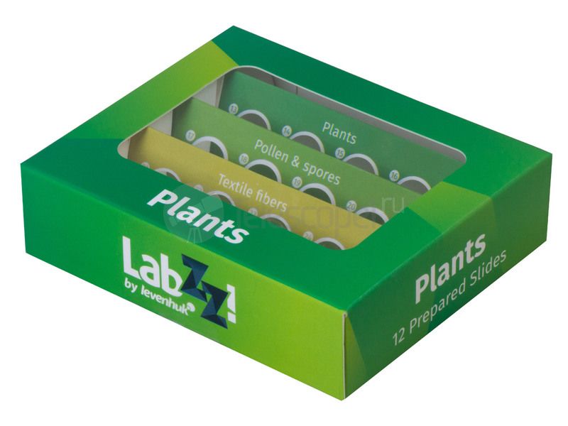 Набор микропрепаратов Levenhuk LabZZ P12 (растения)