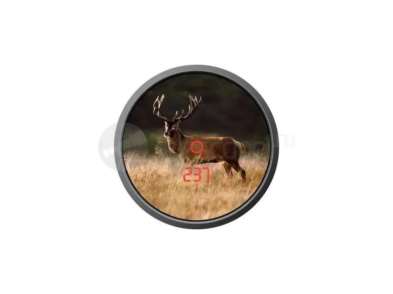 Бинокль Zeiss 8x45 RF Victory