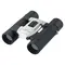Бинокль Nikon Sport Lite 8X25 DCF black