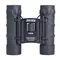 Бинокль Hawke Compact 10x25