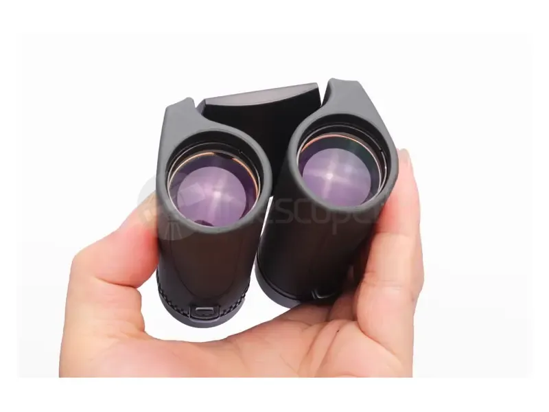 Бинокль Nikon Sportstar EX 10x25 DCF black