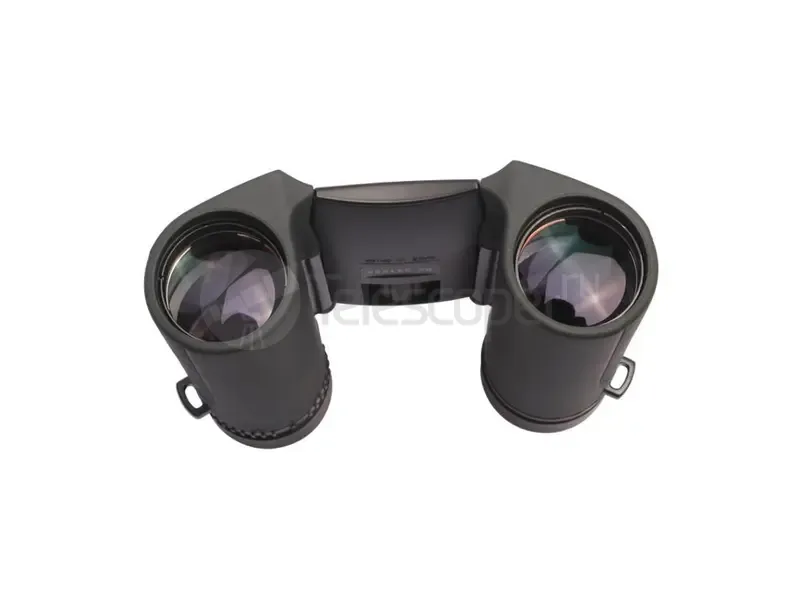 Бинокль Nikon Sportstar EX 10x25 DCF black