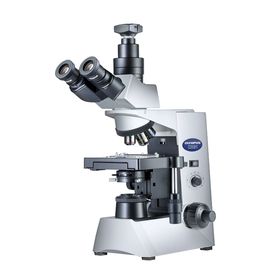 Olympus CX31 (10-22020)