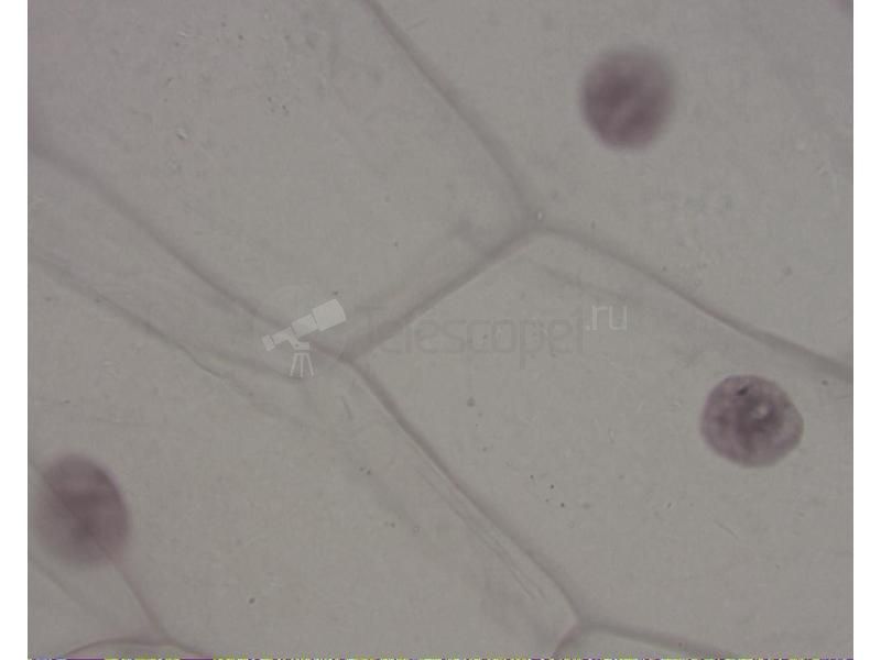 Камера для микроскопа Scopetek MEM1300