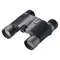 Бинокль Nikon 10x25 HG L DCF