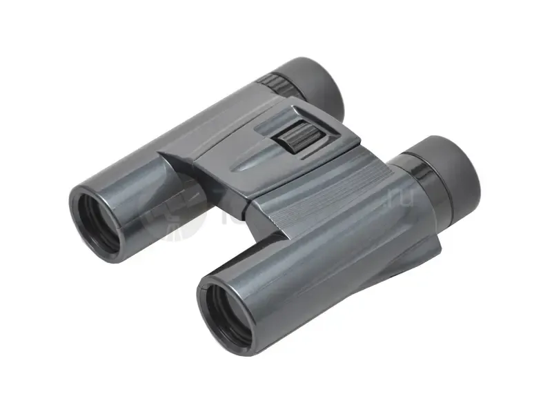 Бинокль Kenko UltraView Pastel 10x25 DH (black)