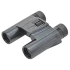 Бинокль Kenko UltraView Pastel 10x25 DH (black)