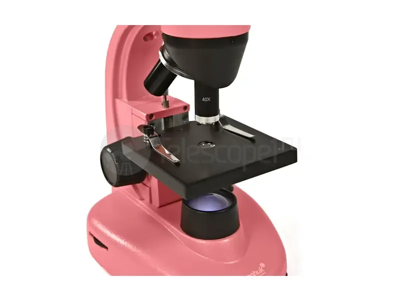 Микроскоп Levenhuk Rainbow 50L NG Rose