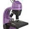 Микроскоп Levenhuk Rainbow 50L NG Amethyst