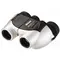 Бинокль Nikon Sprint IV 8x21 CF silver