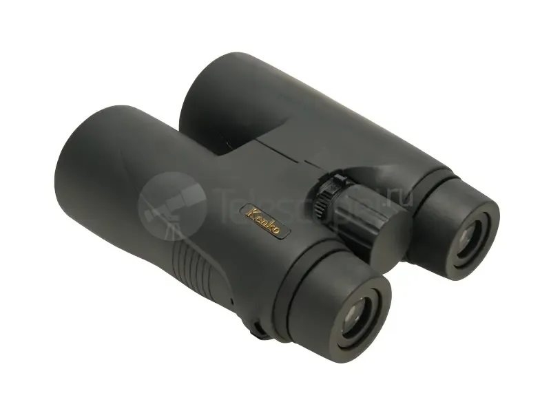 Бинокль Kenko UltraView EX 10x50 DH
