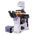 Микроскоп MAGUS Lum VD500
