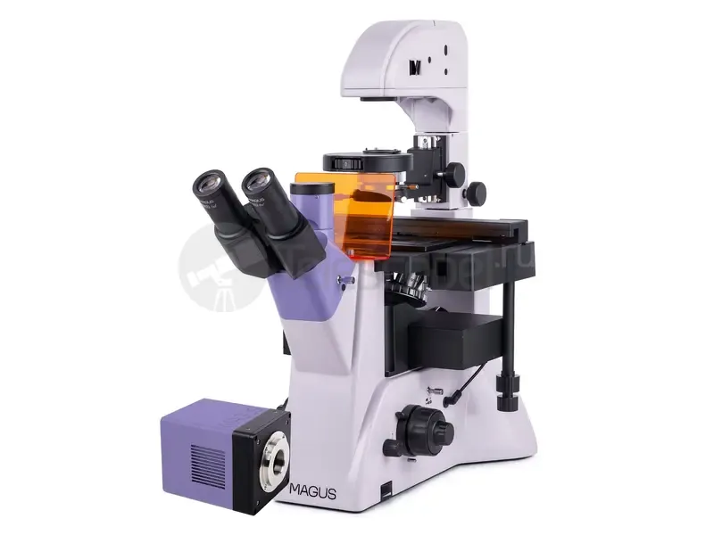 Микроскоп MAGUS Lum VD500L