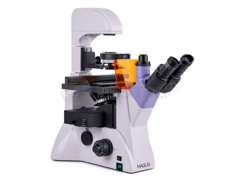 Микроскоп MAGUS Lum VD500L