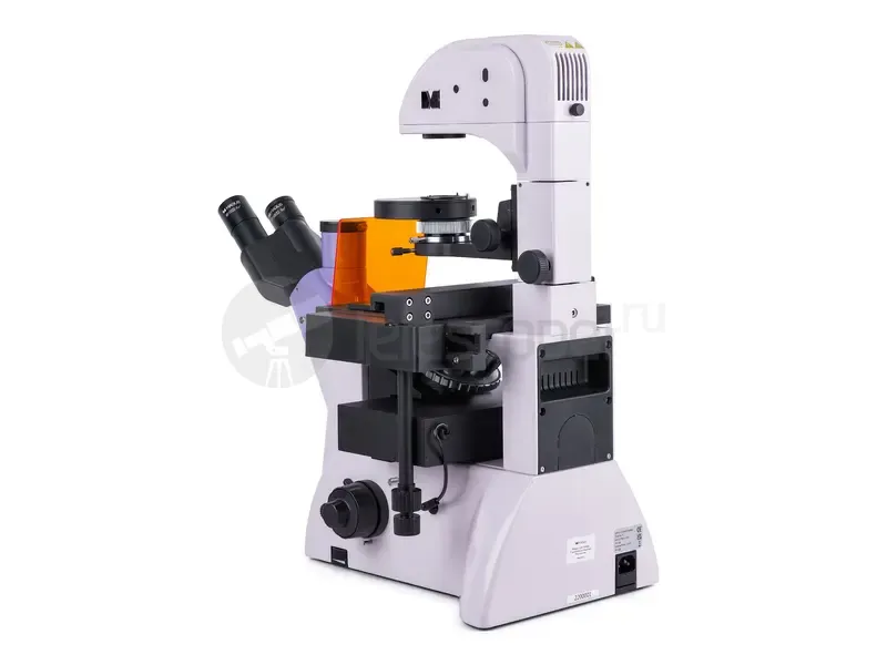 Микроскоп MAGUS Lum VD500L