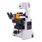 Микроскоп MAGUS Lum VD500L