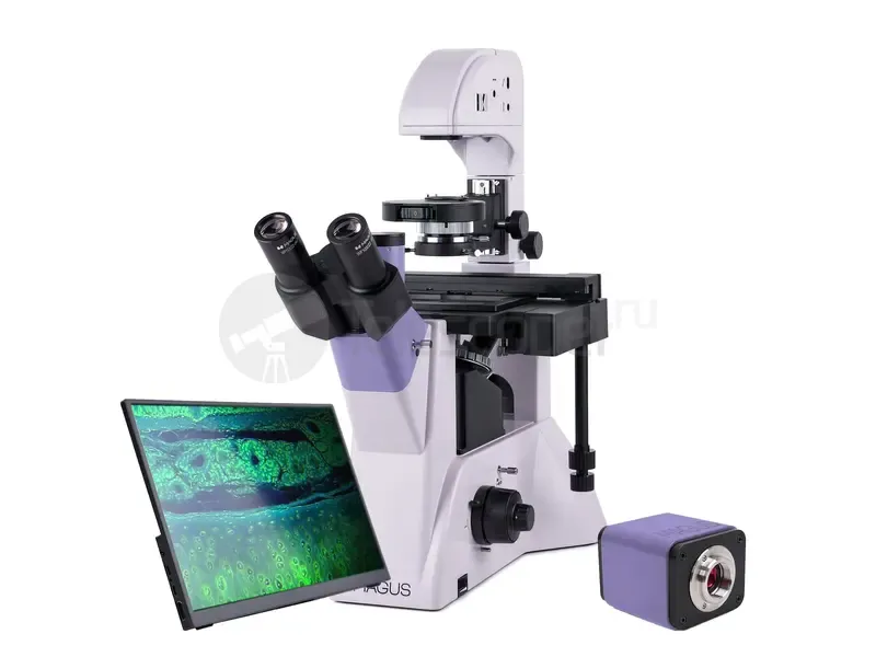 Микроскоп MAGUS Bio VD350 LCD