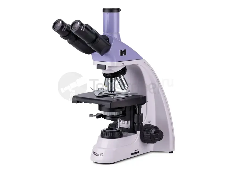 Микроскоп MAGUS Bio 250TL