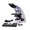 Микроскоп MAGUS Bio 230BL