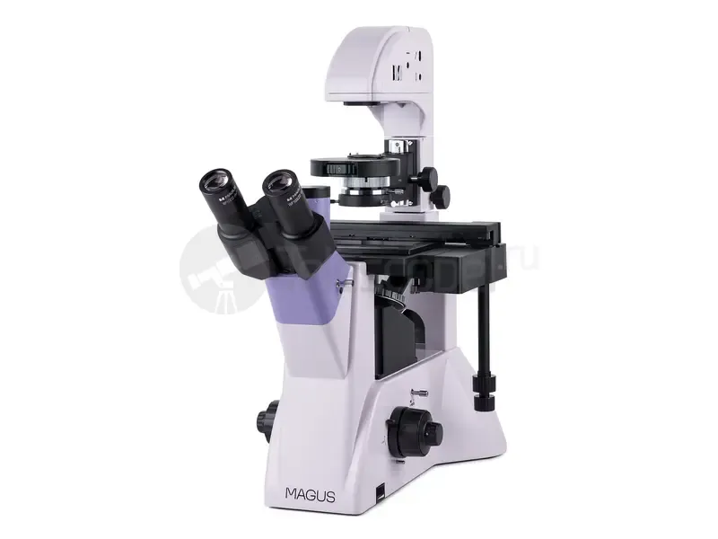Микроскоп MAGUS Bio V350
