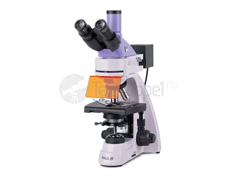 Микроскоп MAGUS Lum 400L