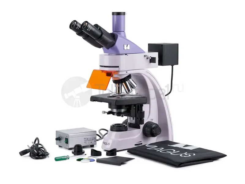 Микроскоп MAGUS Lum 400L