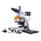 Микроскоп MAGUS Lum 400L