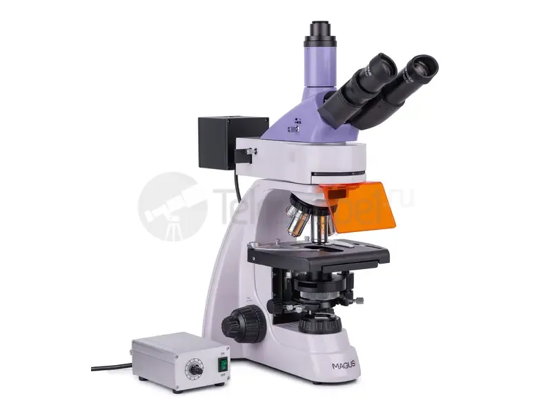 Микроскоп MAGUS Lum 400L