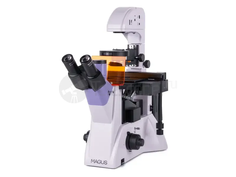 Микроскоп MAGUS Lum V500