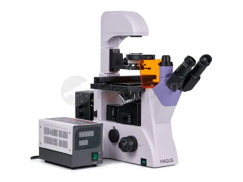 Микроскоп MAGUS Lum V500