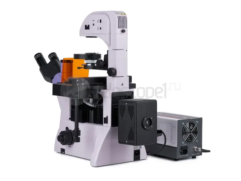 Микроскоп MAGUS Lum V500
