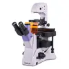 Микроскоп MAGUS Lum V500L