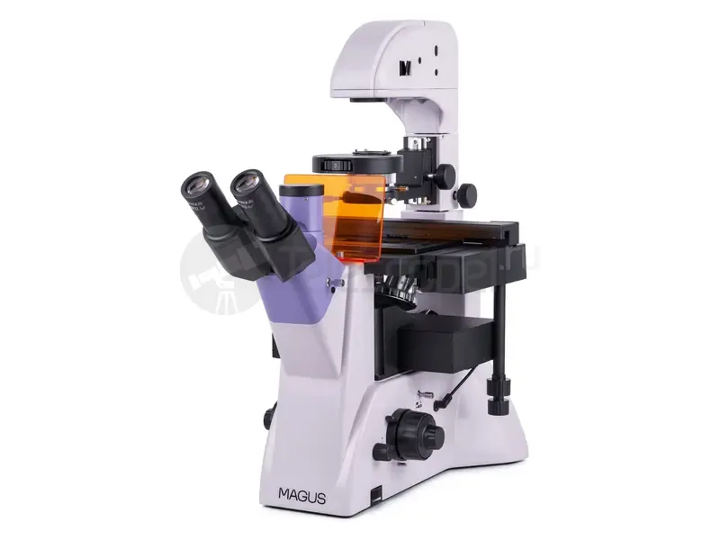 Микроскоп MAGUS Lum V500L