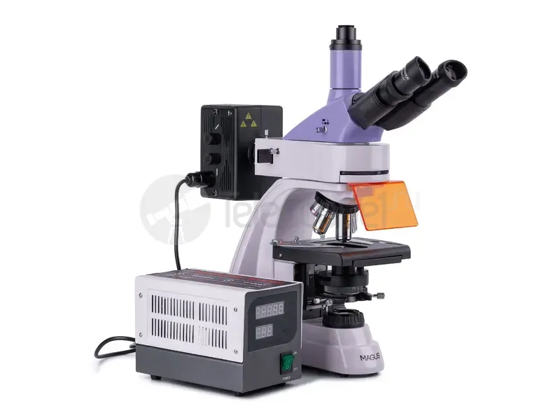 Микроскоп MAGUS Lum D400
