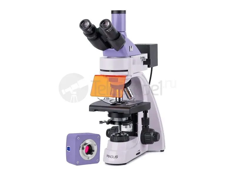 Микроскоп MAGUS Lum D400L