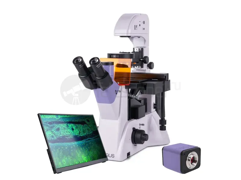 Микроскоп MAGUS Lum VD500 LCD