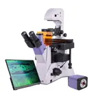 Микроскоп MAGUS Lum VD500L LCD