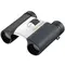 Бинокль Nikon Sportstar EX 8x25 DCF silver