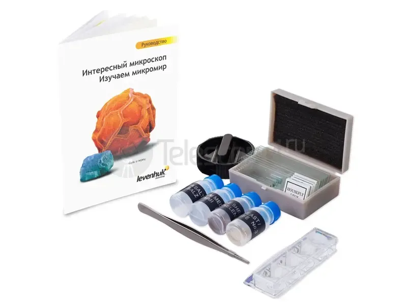 Микроскоп Levenhuk Rainbow 2L Аметист