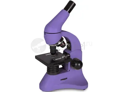 Микроскоп Levenhuk Rainbow 50L Аметист