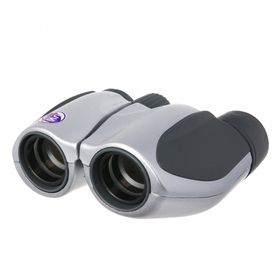 Olympus 10x21 DPC I silver