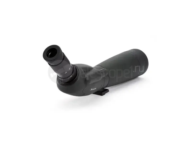 Зрительная труба Celestron TrailSeeker 80 Angled
