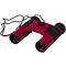 Бинокль Bresser Topas 10x25 Red