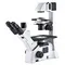 Микроскоп Motic AE31E Trinocular