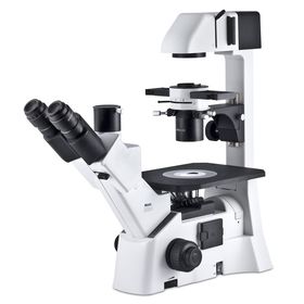Motic AE31E Trinocular