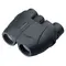 Бинокль Leupold BX-1 Rogue 10x25 (59225)
