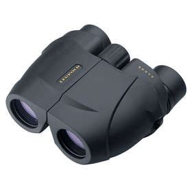 Leupold BX-1 Rogue 10x25 (59225)