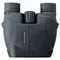 Бинокль Leupold BX-1 Rogue 10x25 (59225)