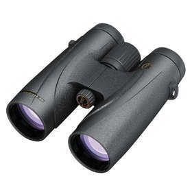 Leupold BX-4 Mckinley HD 8x42 (119281)