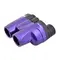 Бинокль Kenko UltraView M 10x25 FMC (purple)